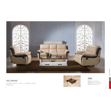 Living Room Sofa with Modern Genuine Leather Sofa Set (418)